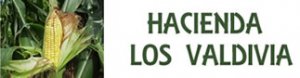 image hlv-jpg